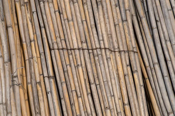 Many Dry Sheaves Bamboo Close — Stock Photo, Image