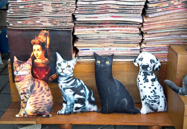 Almohadas Forma Imagen Gatos Estambul Stor —  Fotos de Stock