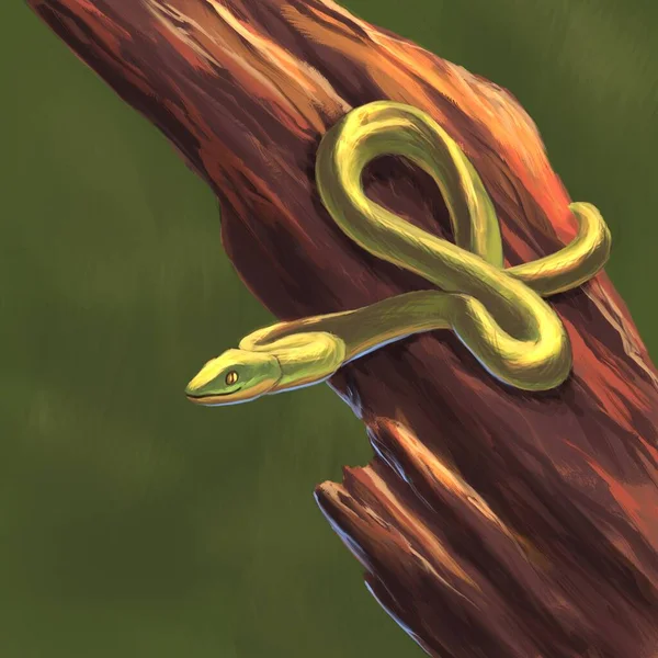 Serpiente Verde Árbol — Foto de Stock