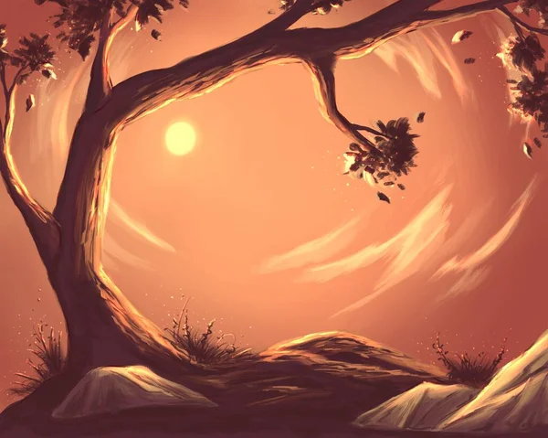 Stare Drzewo Zachodzie Słońca — Zdjęcie stockowe