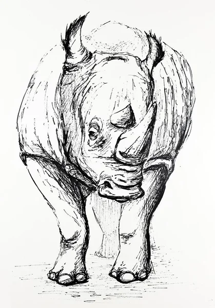 Black White Rhino — Stock Photo, Image
