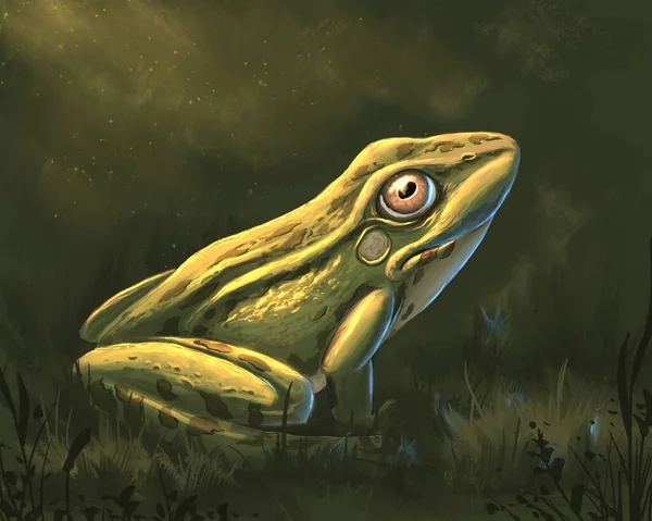 Зеленая Лягушка Траве — стоковое фото
