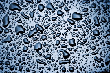 Water drops on polished car paint clipart