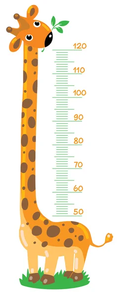 Estadiômetro de girafa — Vetor de Stock