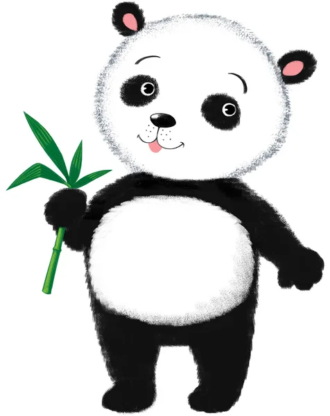 Panda engraçado — Fotografia de Stock