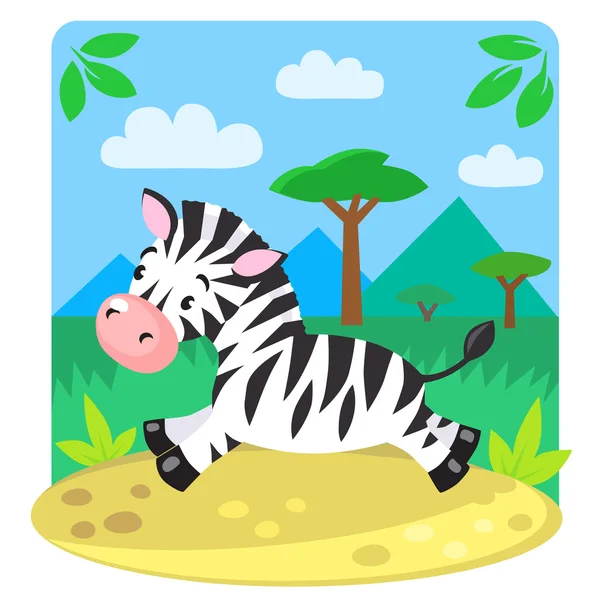 Little Zebra — Stock Vector
