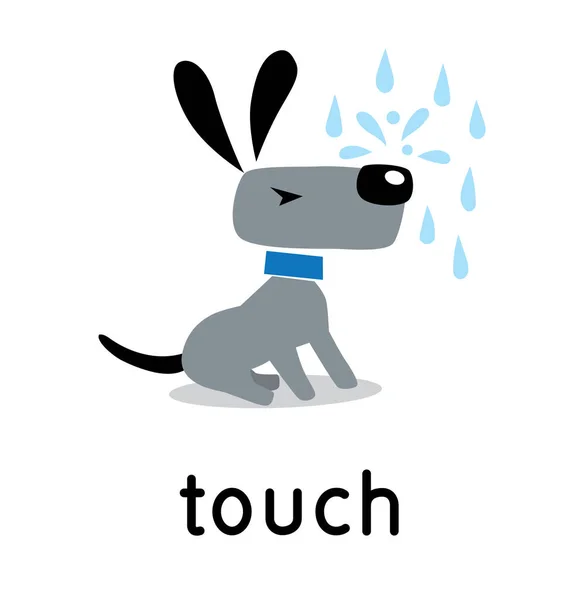 Dog and raindrops on his nose. Five senses. Touch — Stock Vector