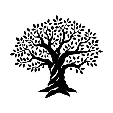 Zeytin ya da meşe ağacı. Yapraklı güçlü peri eko ağacının siyah beyaz çizimi. Yağ şişeleri için tasarım şablonu