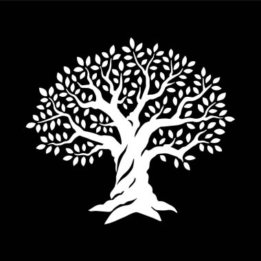 Zeytin ya da meşe ağacı. Yapraklı güçlü peri eko ağacının siyah beyaz çizimi. Yağ şişeleri için tasarım şablonu
