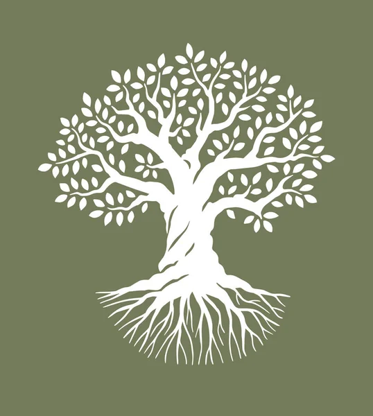 Olive Oak Tree Roots Vector Illustration Powerful Fairy Eco Tree — Stockvector