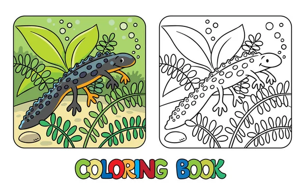 Funny Newt Water Coloring Book Children Vector Illustration — ストックベクタ