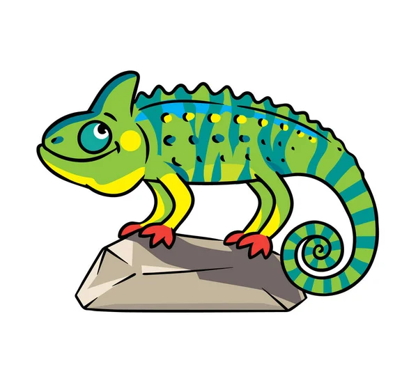 Chameleon Rock Kids Coloring Book Funny Children Vector Illustration — Stock Vector