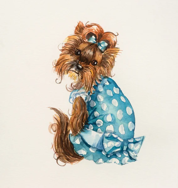 Hond in een blauwe jurk. — Stockfoto