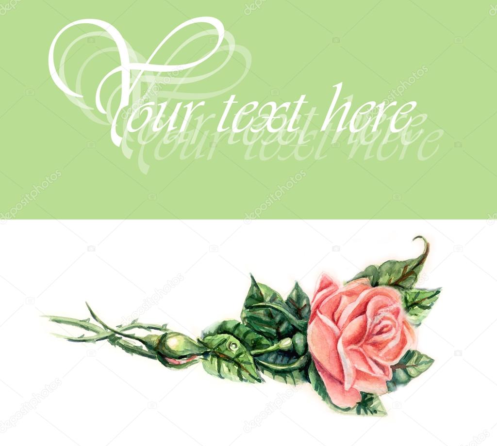 Bianco con rosa modello da Rose disegni di nozze — Foto Stock