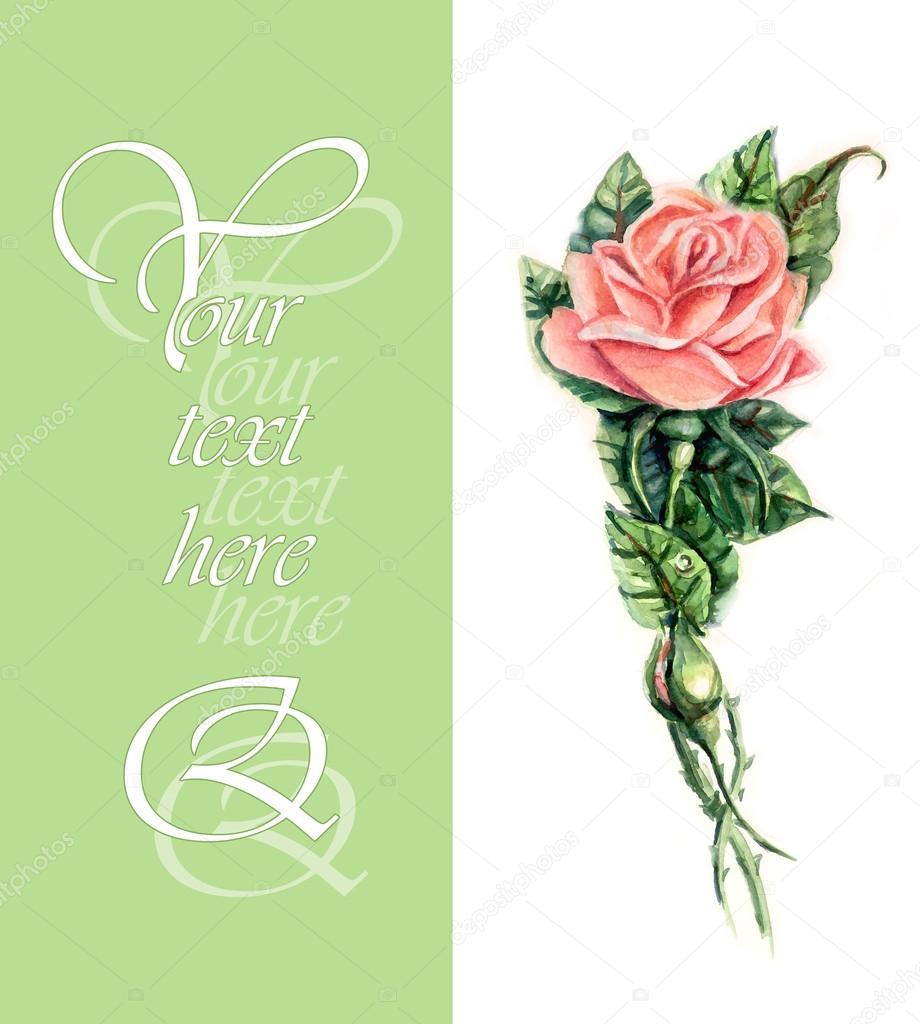 Bianco con rosa modello da Rose disegni di nozze — Foto Stock