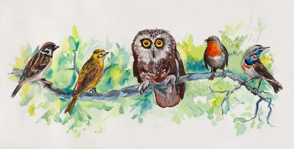 kuşlar liner. yaban hayatı afiş.