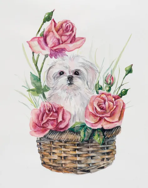 Puppy op de mand met bloemen. — Stockfoto