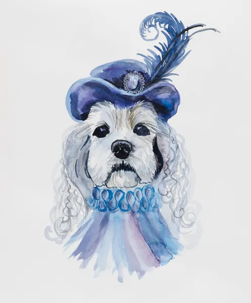 Dog in a hat with a feather. — Stock Photo, Image