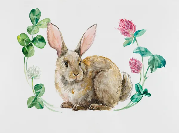 tavşan çiçek daire.