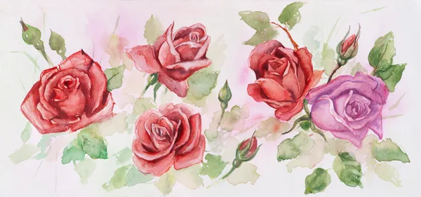 Rote Rosen. Muster aus Rosen. — Stockfoto