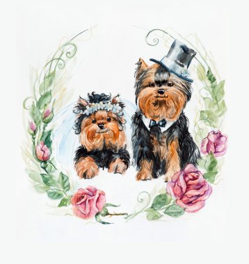 iki köpek. Yorkshire terrier. Düğün köpekler. Gül Daire kare.