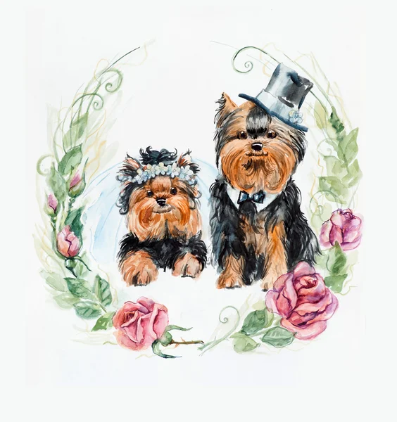 Dos perros. Yorkshire terrier. Boda de perros. Marco de círculo de rosas . —  Fotos de Stock