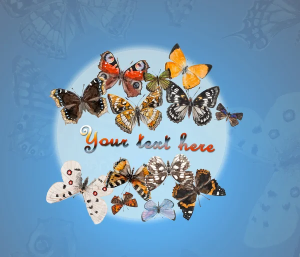 Russian butterflies. — Stock Photo © budogosh 49120489