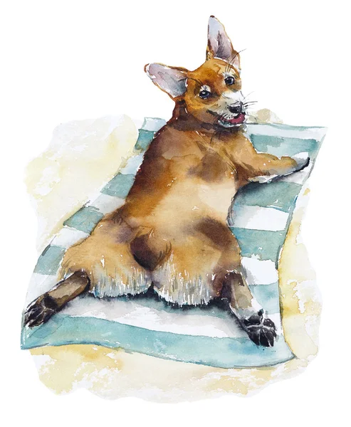 Corgi Het Strand Aquarel Hand Getekend Illustratie — Stockfoto