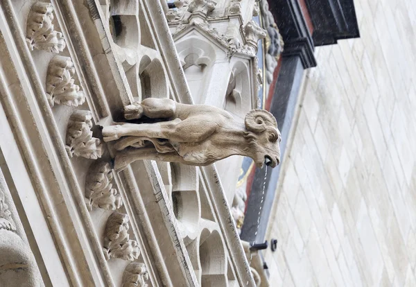 Gargoyle gotico di una capra — Foto Stock