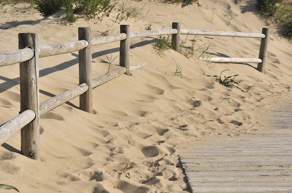 Stärke der Sanddüne — Stockfoto