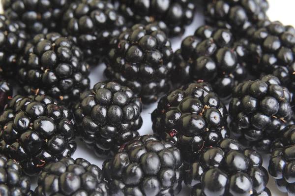 BlackBerrys frukt — Stockfoto