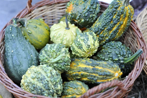 Pumpkins in basket — Stock Photo, Image