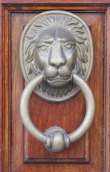 Oude leeuw knocker — Stockfoto