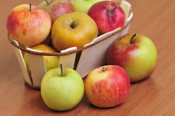 Basket with several kinds of apples — Stock Photo, Image