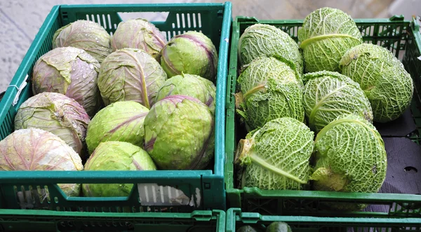 Bandejas de legumes — Fotografia de Stock