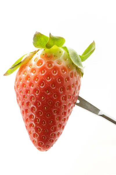 Strawberry with chocolate — Stock Photo, Image