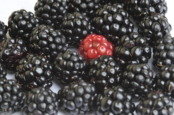 Fruta de Blackberrys e baga vermelha — Fotografia de Stock