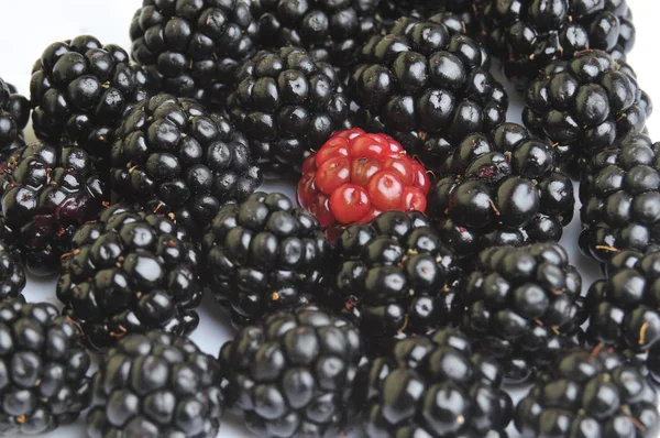 Brombeeren Früchte und rote Beeren — Stockfoto