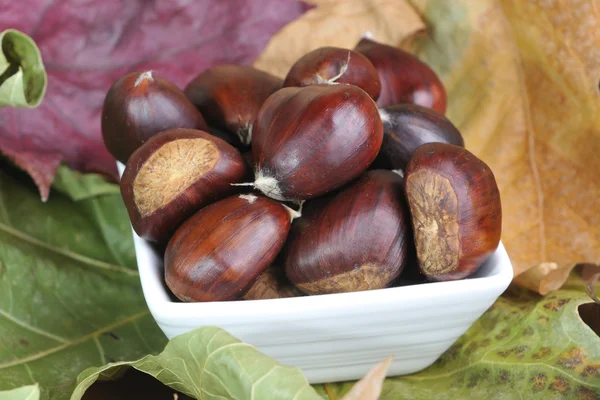 Castanhas — Fotografia de Stock