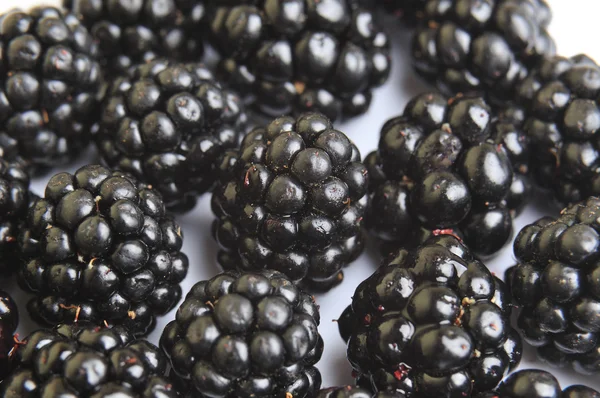 Blackberrys fruit — Stock Photo, Image