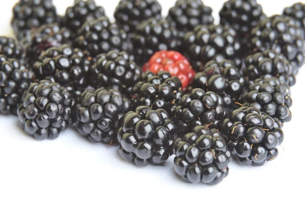 BlackBerrys φρούτα και κόκκινο μούρο — Φωτογραφία Αρχείου
