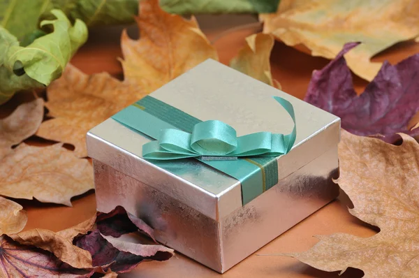 Подарочная коробка и листья — стоковое фото