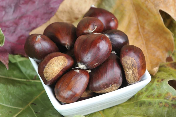 Castanhas — Fotografia de Stock