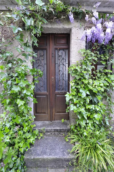 Puerta de madera y flores de jardín — Foto de Stock