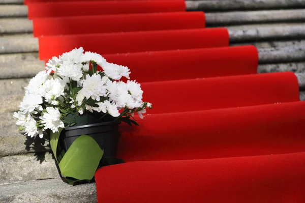 Czerwony dywan w kamienne schody — Zdjęcie stockowe