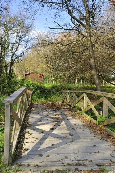 Ponte di legno — Foto Stock