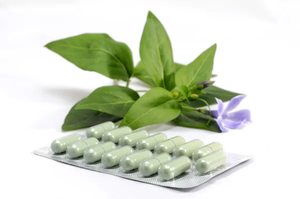 Medicamentos e medicamentos com extratos vegetais naturais — Fotografia de Stock