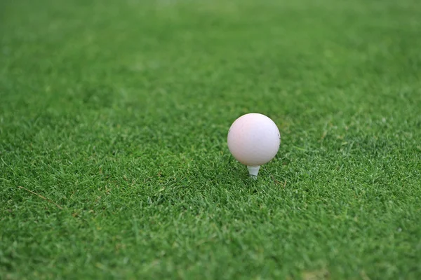 Golf field — Stock Photo, Image