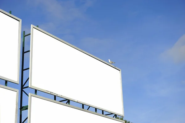 Stadsbilden Tom billboard — Stockfoto
