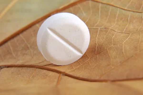 Heap of white round medicine tablets — Stock Photo, Image